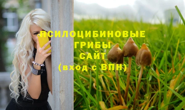 первитин Приозерск