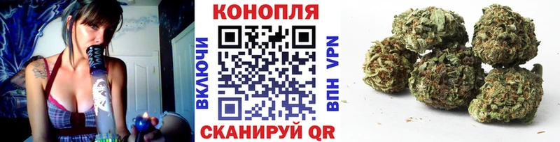 Бошки Шишки тримм  Суджа 